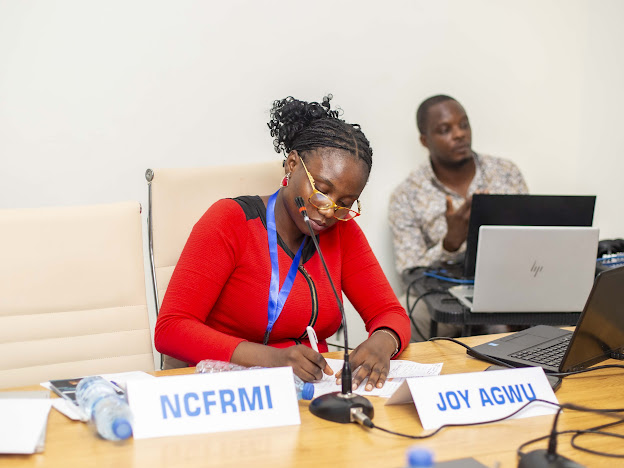 Youth Mentorship on Migration Governance gallery 3